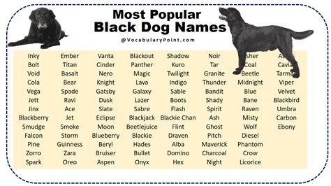 good black dog names female|strong black female dog names.